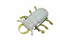CR-365 : 六腳甲蟲